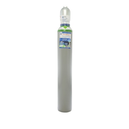 Argon 4.8 10 Liter Flasche PROFI Schweißargon WIG MIG Globalimport