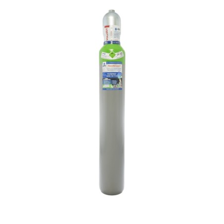 Schutzgas S2 10 Liter Flasche Schweißgas Argon Sauerstoff 2%O2 98%Ar