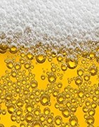 Biergas  / Stickstoff Gasflaschen günstig kaufen